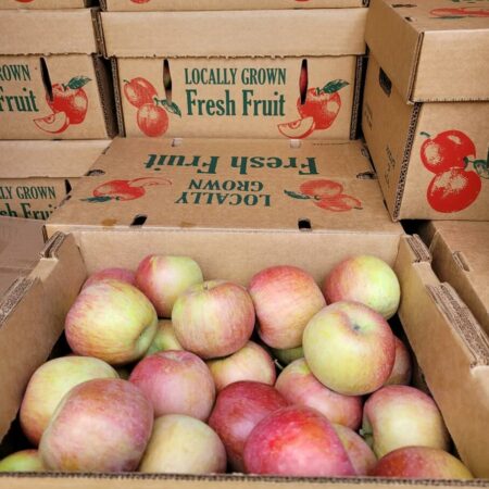 fresh vegetables and fruits